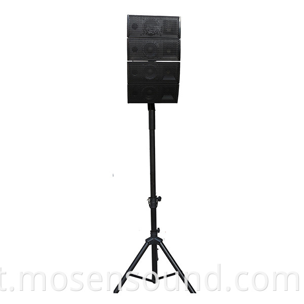 Line Array Speaker